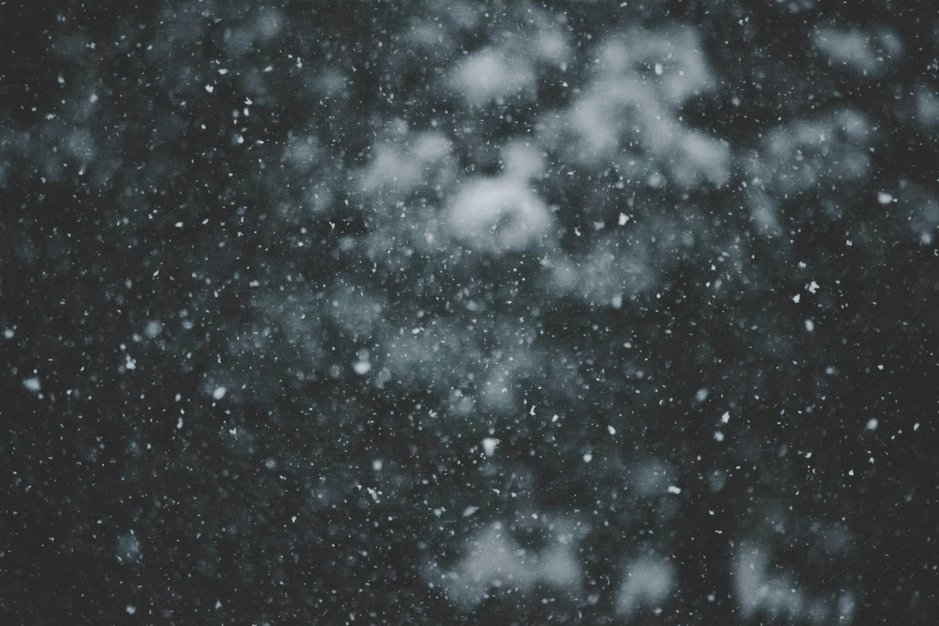 雪地 04
