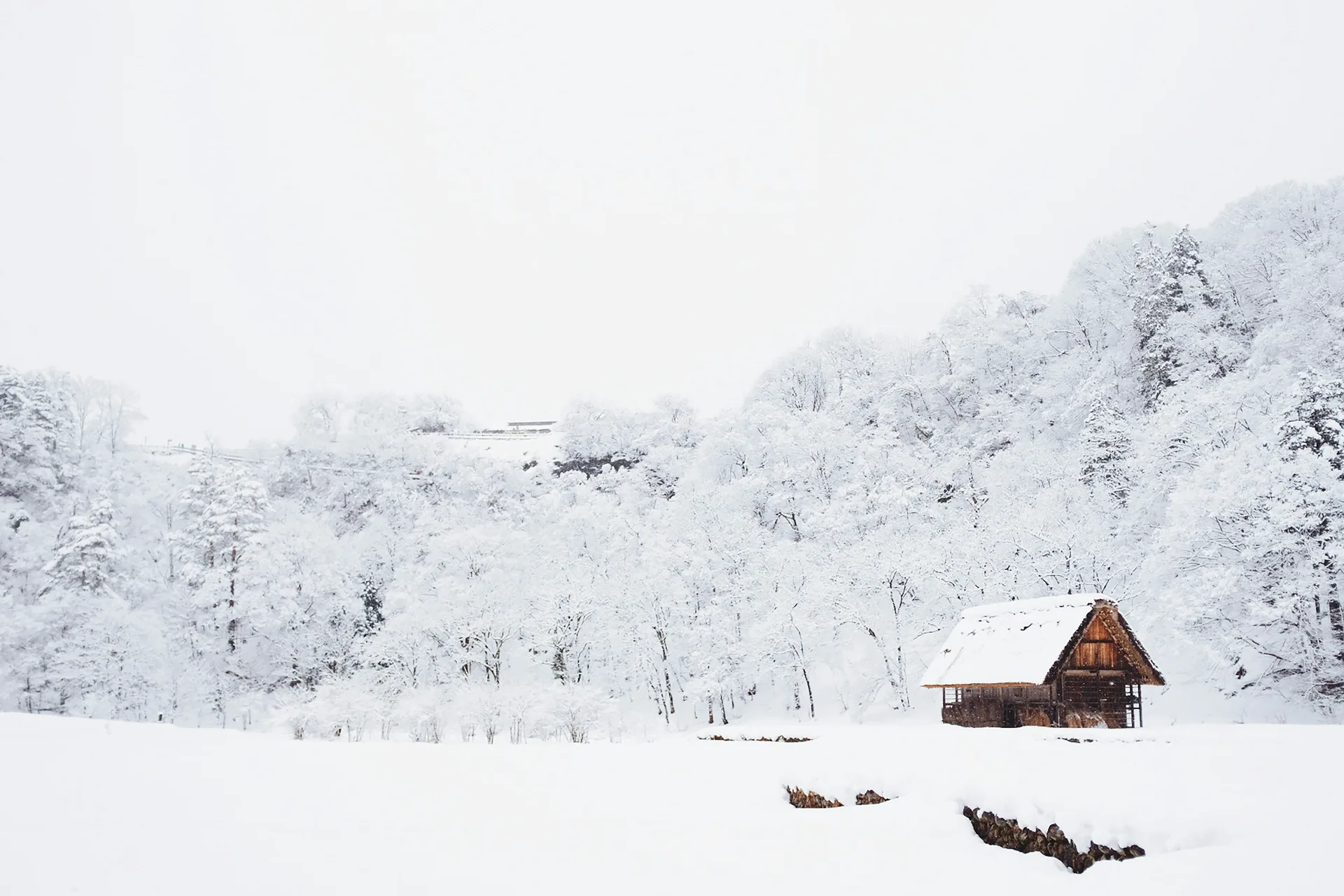 雪地 05